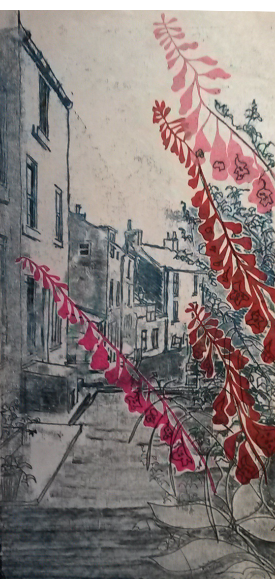 Gunner-Row-and-Foxgloves