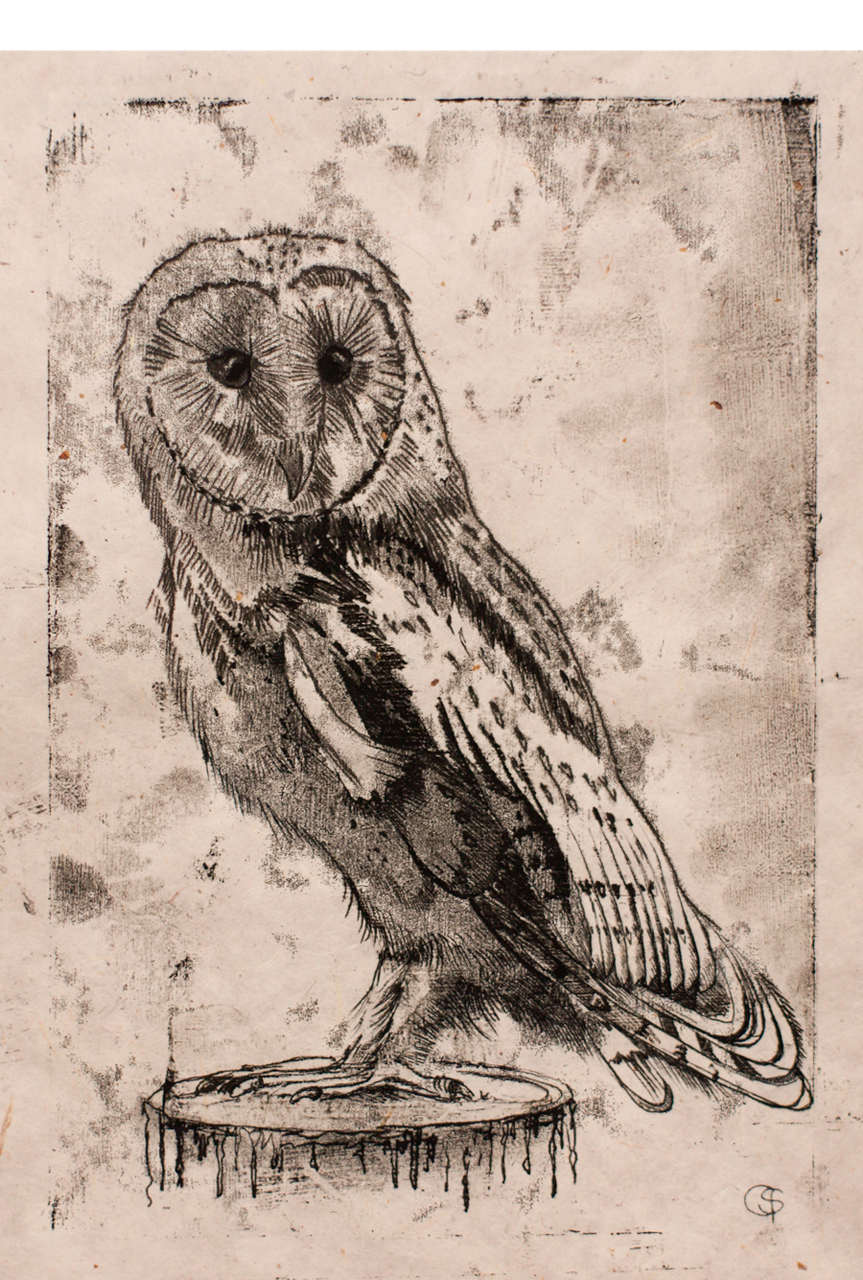 Owl1
