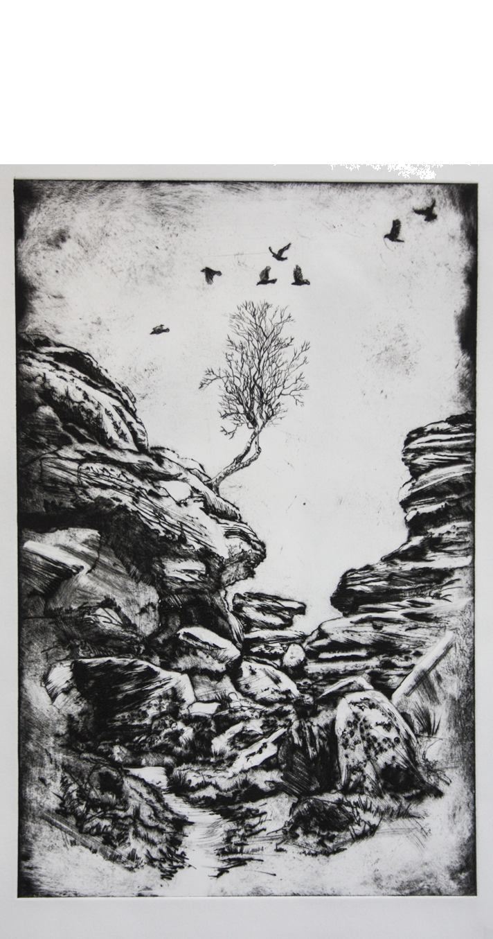 crows-and-birch-at-brimham
