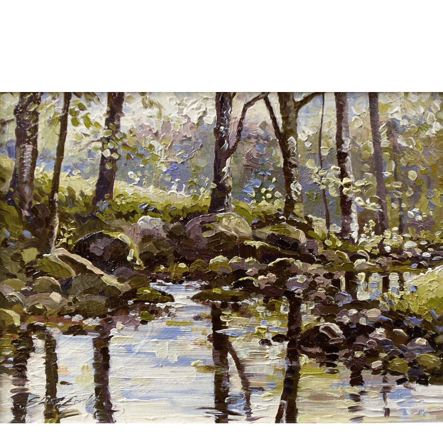 Midges-River-Washburn