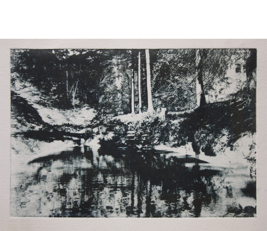 Deep-Pool-Sampsons-Wood-solar-plate-